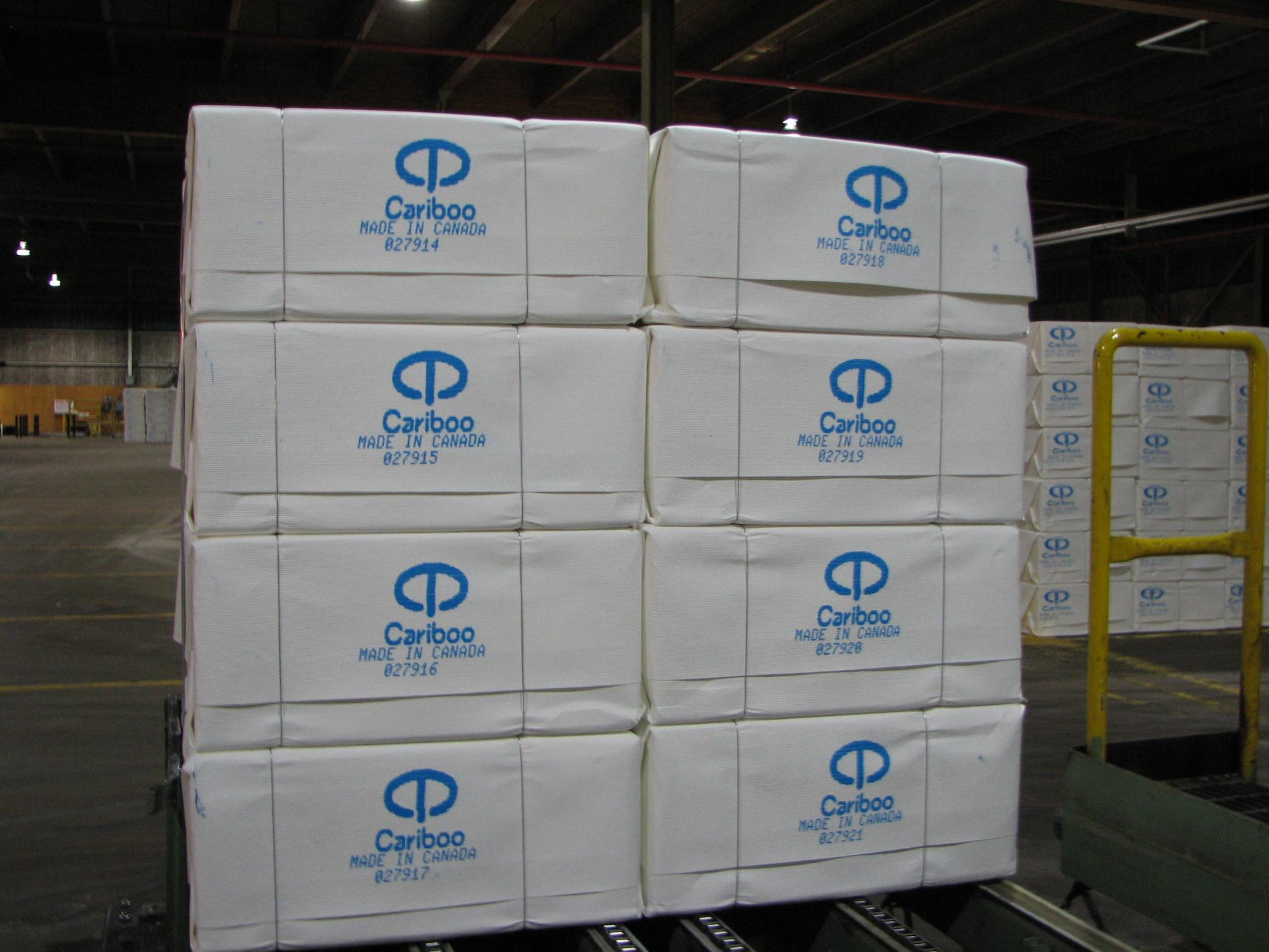 InkJetPrintingPulp2 