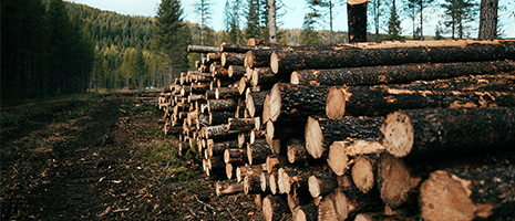 lumber 